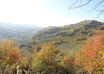 Vista - Rustico Frazione Valdivilla, Santo Stefano Belbo - foto 5