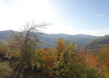 Vista - Rustic Frazione Valdivilla, Santo Stefano Belbo - photo 6