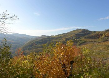 Vista - Rustico Frazione Valdivilla, Santo Stefano Belbo - foto 8