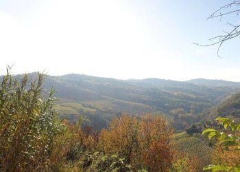 Vista - Rustic Frazione Valdivilla, Santo Stefano Belbo - photo 12