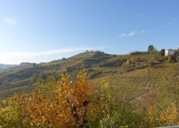 Vista - Rustico Frazione Valdivilla, Santo Stefano Belbo - foto 23