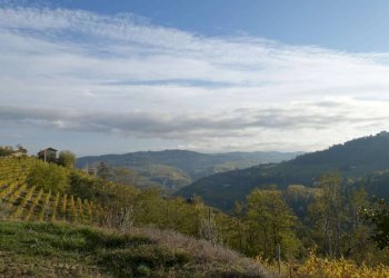 Vista - Rustico Frazione Valdivilla, Santo Stefano Belbo - foto 25