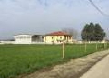 Terreno - Villa Frazione Fossetto, 74, San Salvatore Monferrato - photo 4