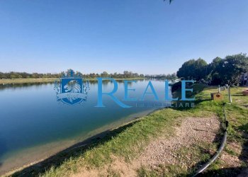 Terreno agricolo Cusago - foto 3