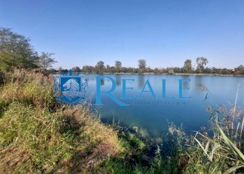 Terreno agricolo Cusago - foto 6