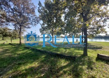 Terreno agricolo Cusago - foto 11