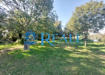 Terreno agricolo Cusago - foto 16