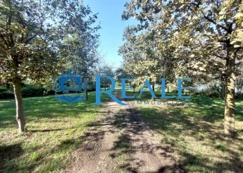 Terreno agricolo Cusago - foto 20