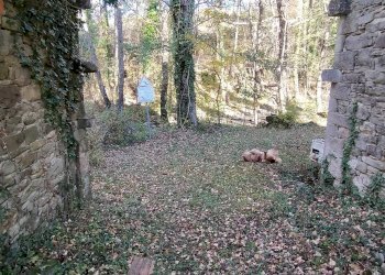 Rustico Via Corgnolo 32, Castiglione dei Pepoli - foto 7