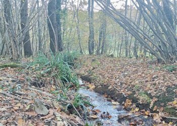 Rustico Via Corgnolo 32, Castiglione dei Pepoli - foto 31