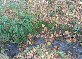 Rustico Via Corgnolo 32, Castiglione dei Pepoli - foto 32