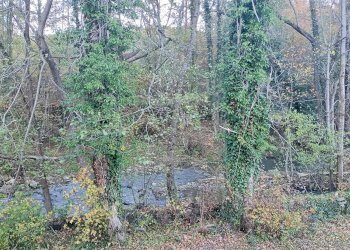 Rustico Via Corgnolo 32, Castiglione dei Pepoli - foto 33