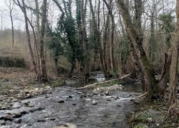 Rustico Via Corgnolo 32, Castiglione dei Pepoli - foto 41