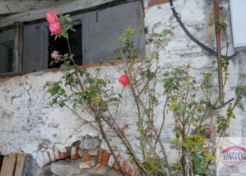 Rif 1420(Copy10).jpg - Casale LOC SPALLETTO, Millesimo - foto 11