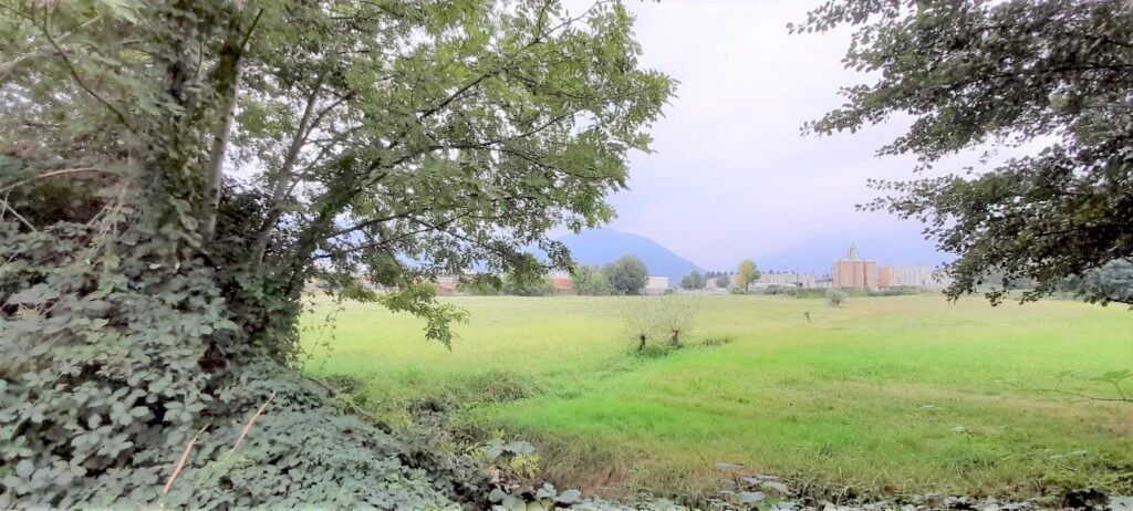 Terreno edificabile Strada Boschetto, Luserna San Giovanni - foto 2