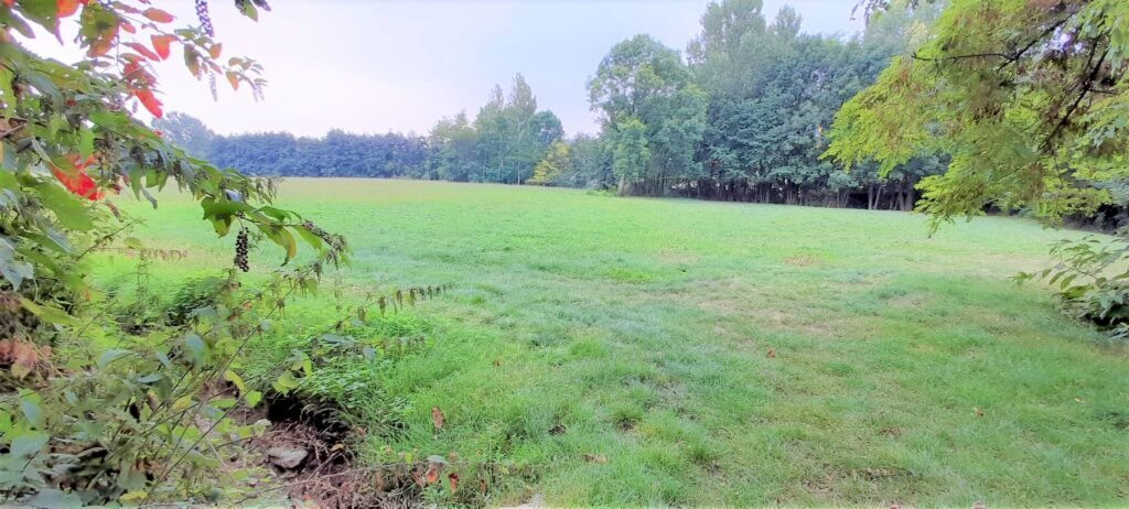 Terreno edificabile Strada Boschetto, Luserna San Giovanni - foto 3