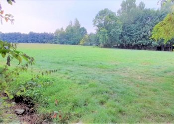 Terreno edificabile Strada Boschetto, Luserna San Giovanni - foto 3