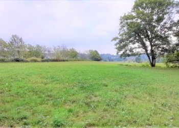 Terreno edificabile Strada Boschetto, Luserna San Giovanni - foto 4