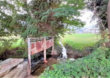 Terreno edificabile Strada Boschetto, Luserna San Giovanni - foto 5