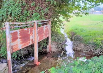 Terreno edificabile Strada Boschetto, Luserna San Giovanni - foto 6
