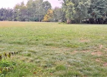 Terreno edificabile Strada Boschetto, Luserna San Giovanni - foto 7