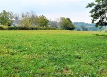 Terreno edificabile Strada Boschetto, Luserna San Giovanni - foto 9