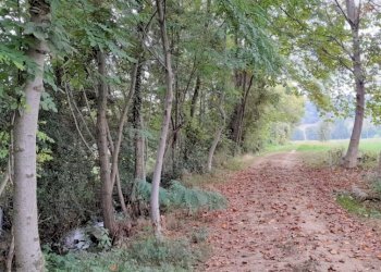 Terreno edificabile Strada Boschetto, Luserna San Giovanni - foto 10