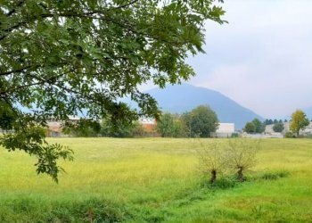 Terreno edificabile Strada Boschetto, Luserna San Giovanni - foto 13