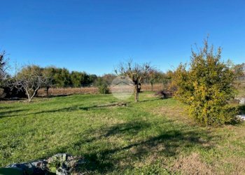 Terreno agricolo Via Biscia, Garbagnate Milanese - foto 4