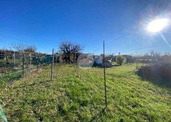 Terreno agricolo Via Biscia, Garbagnate Milanese - foto 7