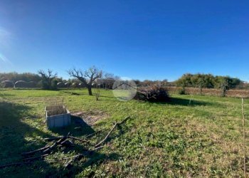 Terreno agricolo Via Biscia, Garbagnate Milanese - foto 11