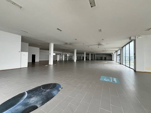 Interno non residenziale - Capannone via Roberto di Ferro, 24, Alessandria - foto 1