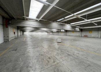 Interno non residenziale - Capannone via Roberto di Ferro, 24, Alessandria - foto 4