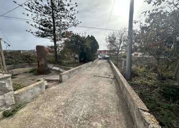 IMG_8930.jpg - Rustico SP25, Ragusa - foto 18