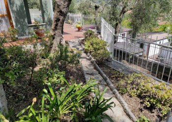 IMG-20231129-WA0004.jpg - Residence Via Giuseppe Mazzini 7, San Bartolomeo al Mare - foto 3