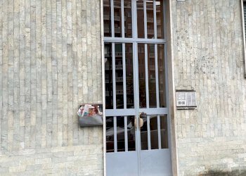 Two-room apartment 207, Corso Grosseto, Torino (neighborhood Borgo Vittoria) - photo 2