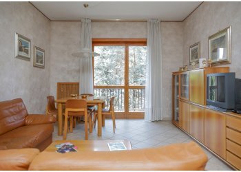 Bilocale 4, Via Cristoforo Colombo, Collegno - foto 11