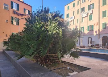 Monolocale 8, Vico del Molo, Savona - foto 21