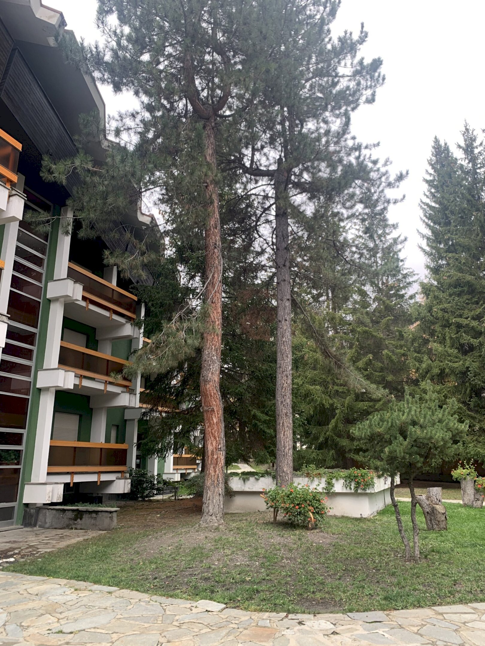 Monolocale Via Pollicino, Bardonecchia, Torino - foto 1