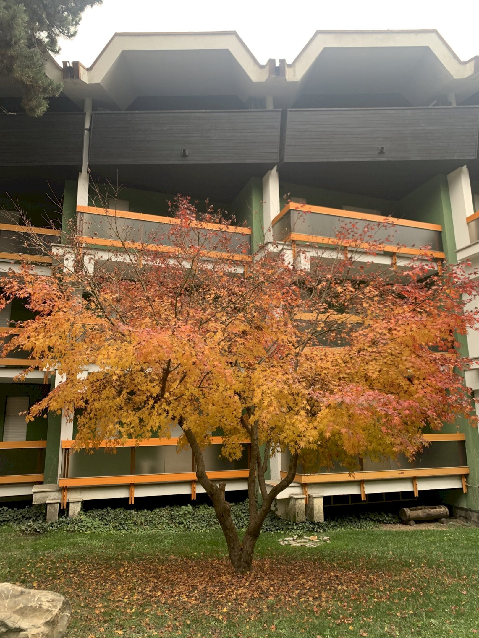 Monolocale Via Pollicino, Bardonecchia, Torino - foto 2