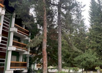 Monolocale Via Pollicino, Bardonecchia, Torino - foto 1