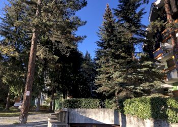 Monolocale Via Pollicino, Bardonecchia, Torino - foto 8