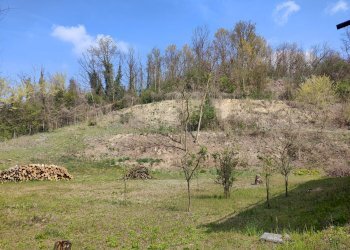 Villa Via Baldichieri, Mondrossa, Asti - foto 18