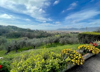 86dfde90-31ad-4ca3-a904-199b3f83380f.jpg - Casa indipendente Castelnuovo Magra - foto 6