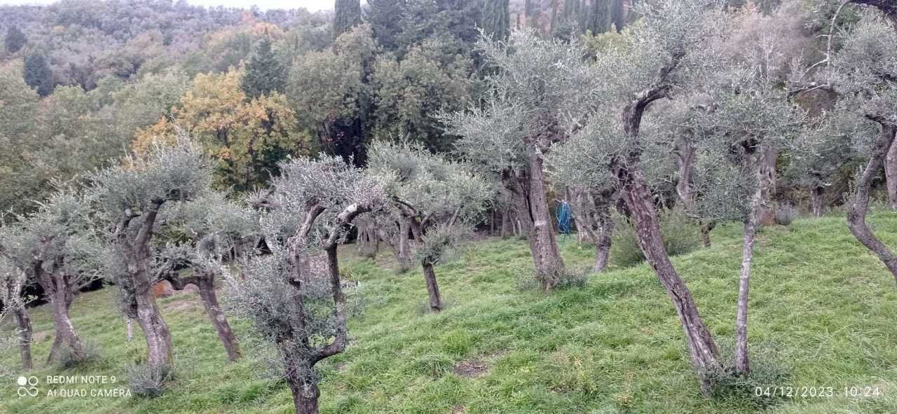 IMG-20231204-WA0011.jpg - Building land Fosdinovo - photo 1