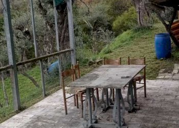 IMG-20231204-WA0013.jpg - Terreno edificabile Fosdinovo - foto 2