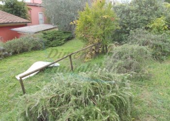 Panorama affaccio.jpg - Villa Rosignano Marittimo - foto 1