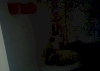 Capannone Piacenza - foto 9