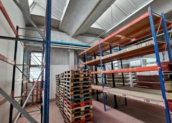 Capannone Carpi - foto 4