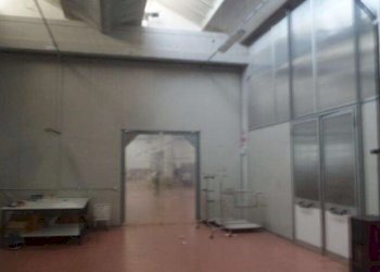 Capannone Carpi - foto 6